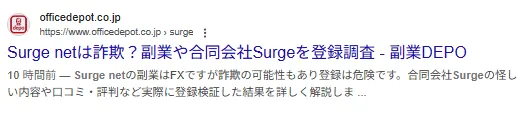 合同会社Surge(SurgeNet)の記事画像